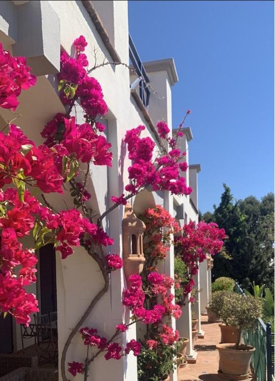 Boutique Hotel Maravilla - Marbella Benahavís Eksteriør bilde