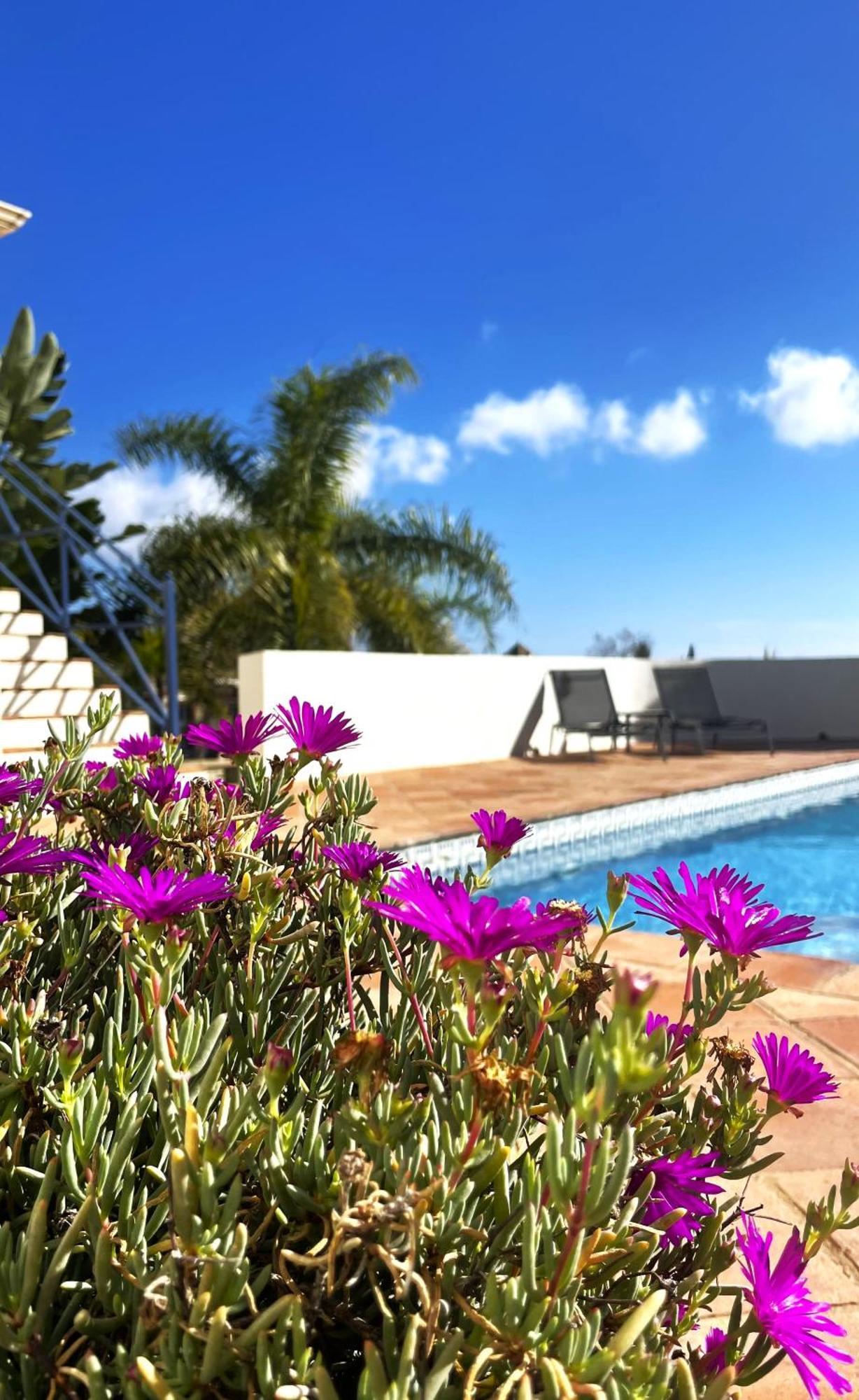 Boutique Hotel Maravilla - Marbella Benahavís Eksteriør bilde