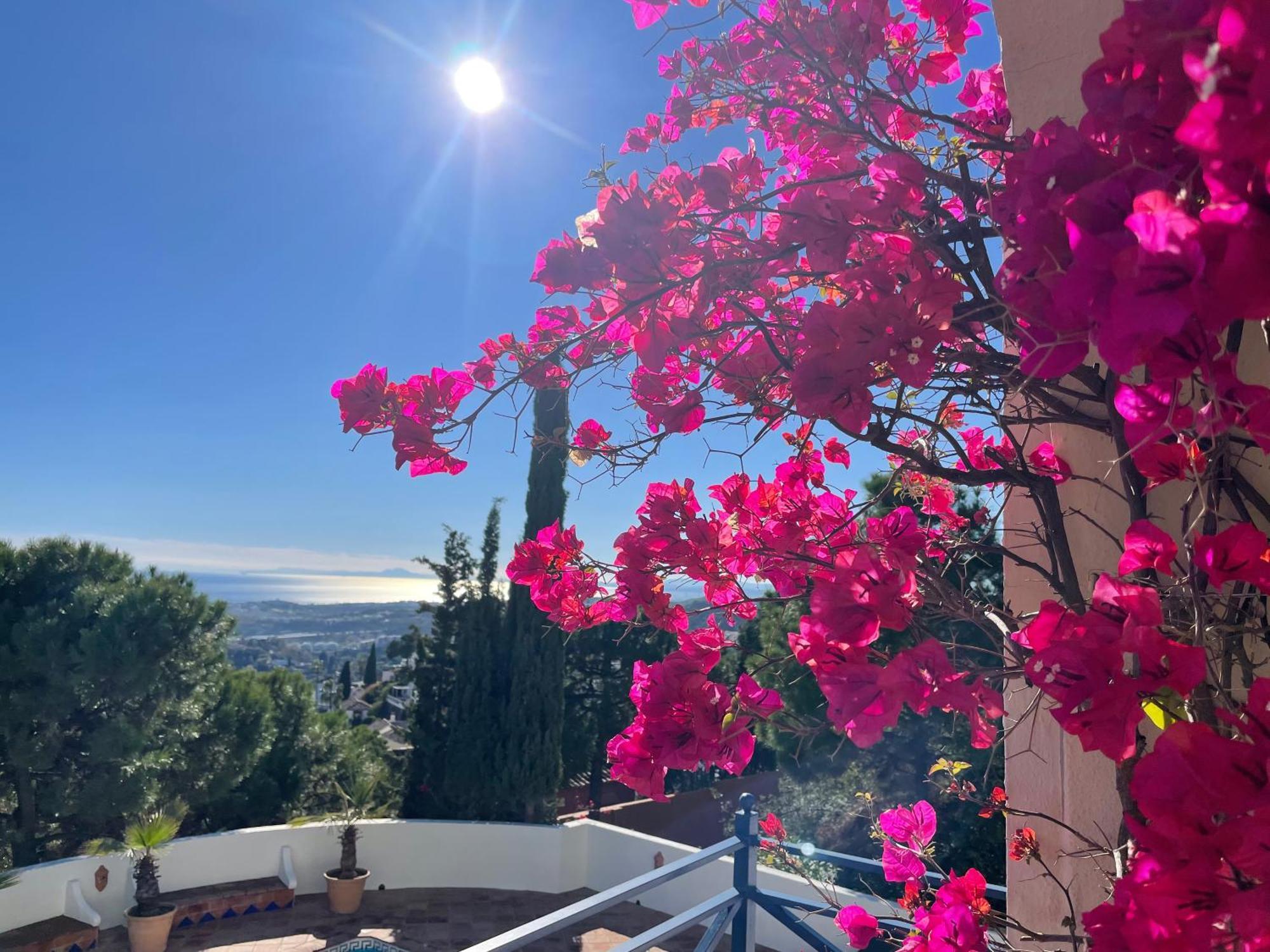 Boutique Hotel Maravilla - Marbella Benahavís Eksteriør bilde
