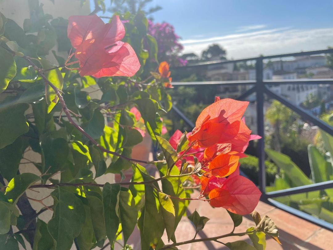 Boutique Hotel Maravilla - Marbella Benahavís Eksteriør bilde