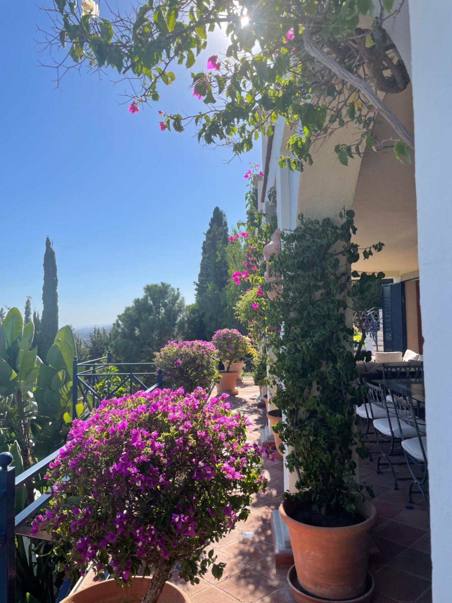 Boutique Hotel Maravilla - Marbella Benahavís Eksteriør bilde
