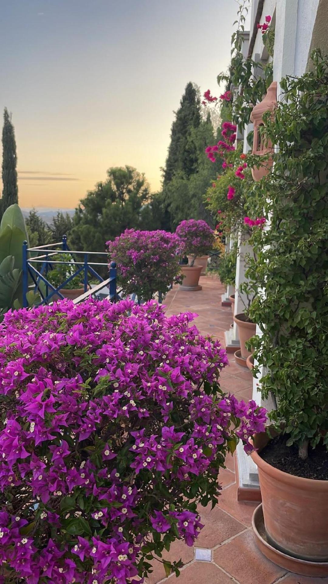 Boutique Hotel Maravilla - Marbella Benahavís Eksteriør bilde